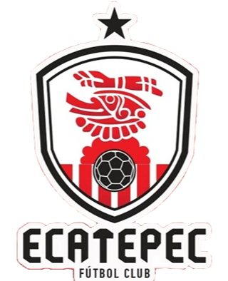 https://img.qdloveyuebao.com/img/football/team/f8fefa1062b7f72982263757680421c0.png